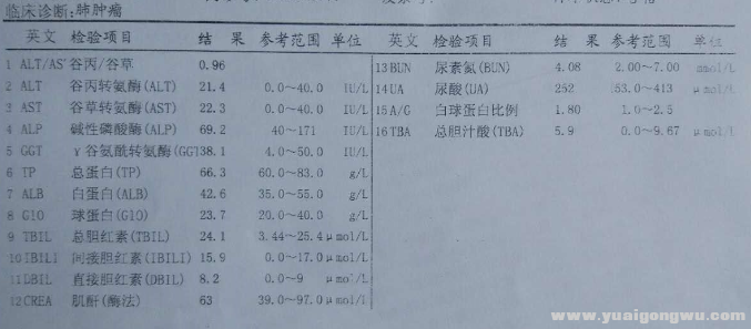 肝肾功