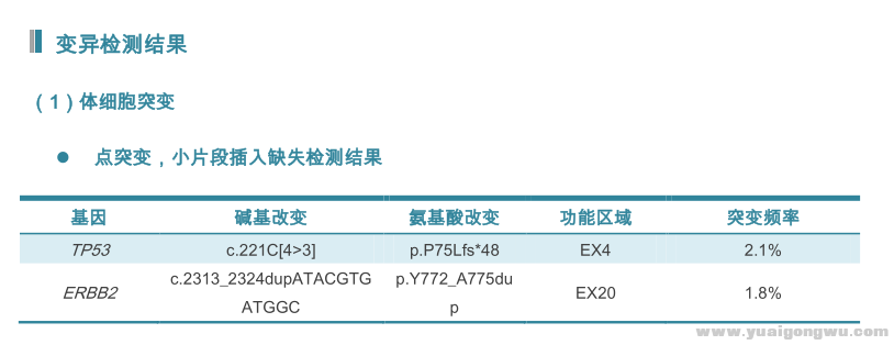 QQ截图20171219104339.png