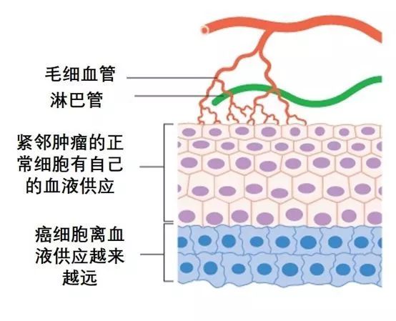 怎么转移的2.jpg