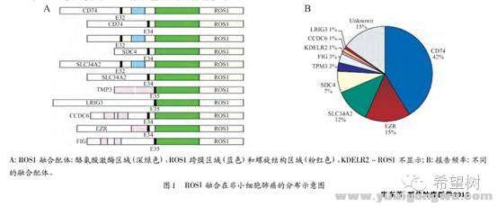 Lorlatinib治疗3.jpg