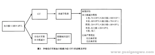 诊断及评估